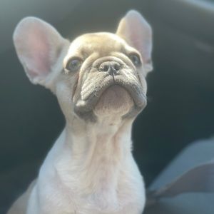 Meet your Posher, Jasmine